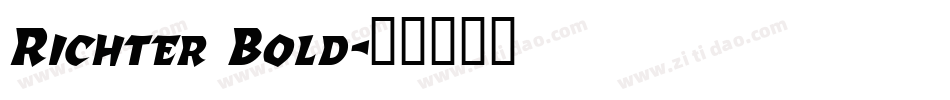 Richter Bold字体转换